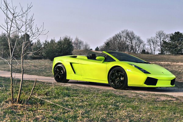 Neon limonkowy lamborghini gallado spyder na wiejskiej drodze