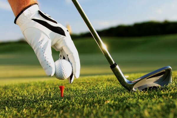 Foto Hand in einem Handschuh setzt einen Ball, Golf spielen