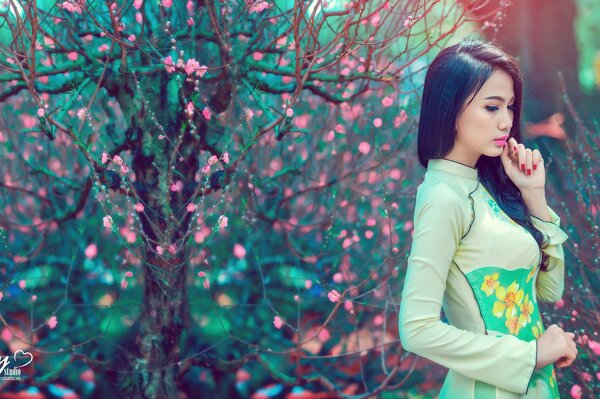 Fille vietnamienne, arbre en fleurs