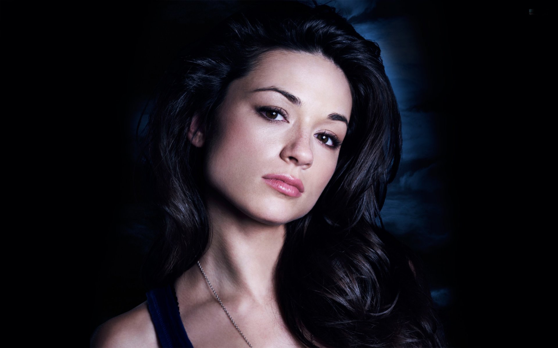 crystal reed actress brunette