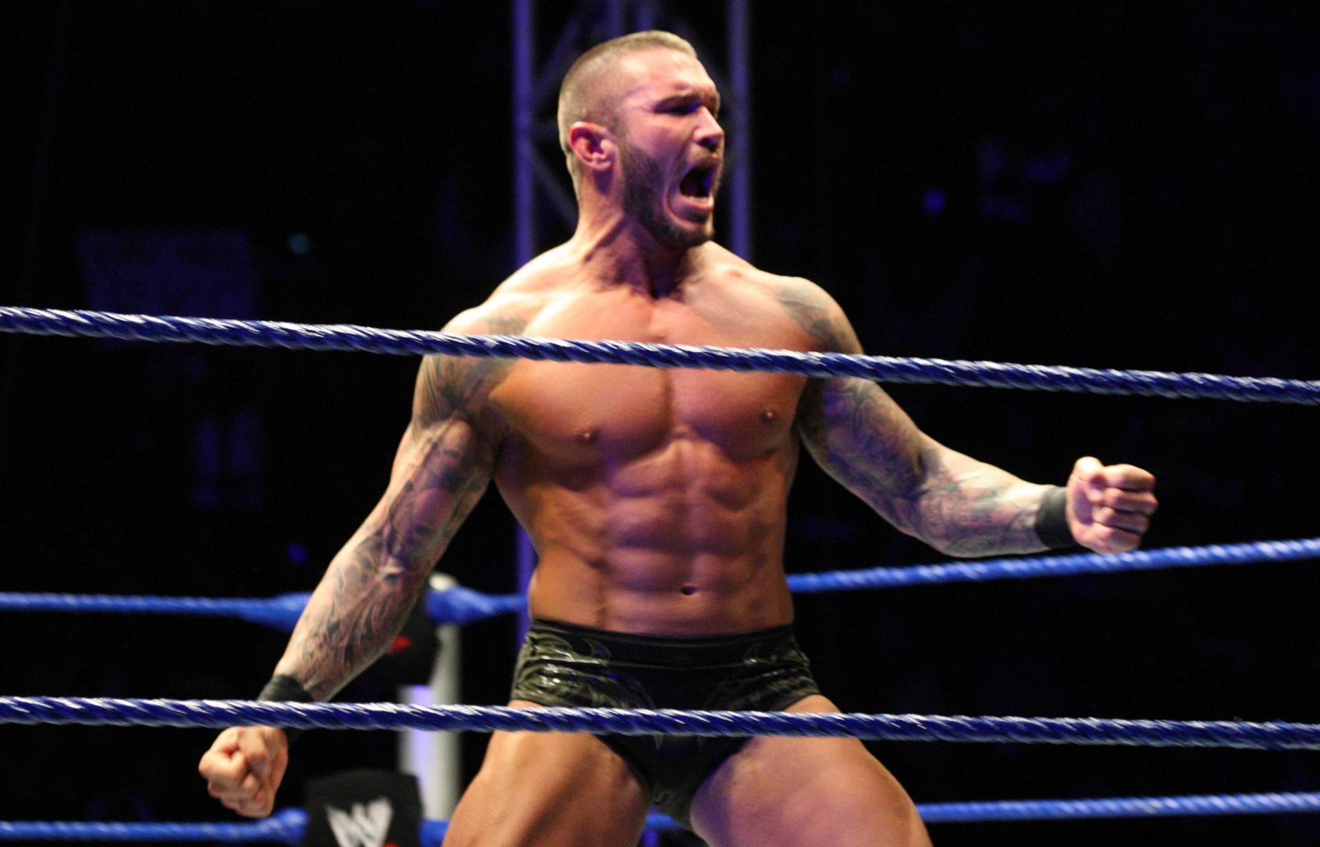 ufc zapaśnik wwe randy orton