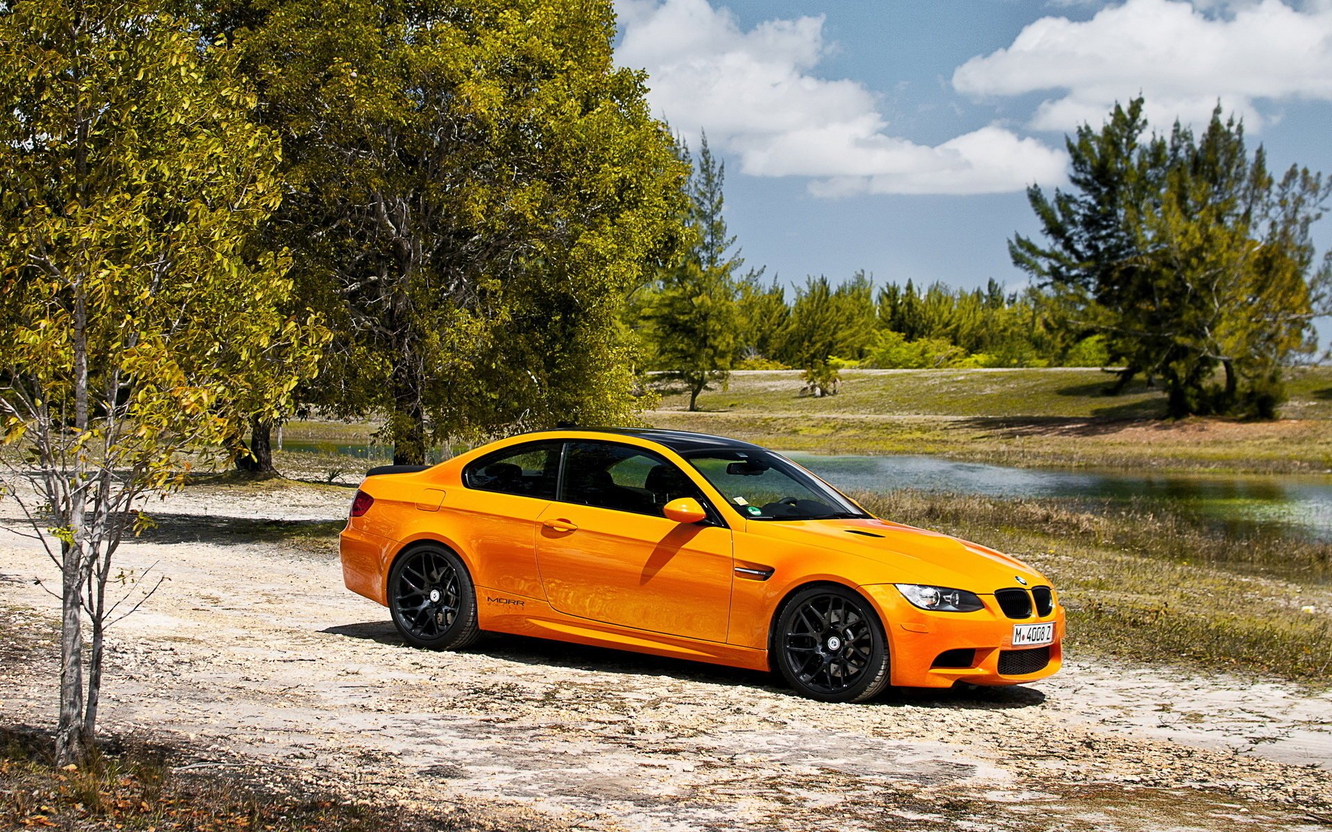 bmw m3 бмв купе деревья природа