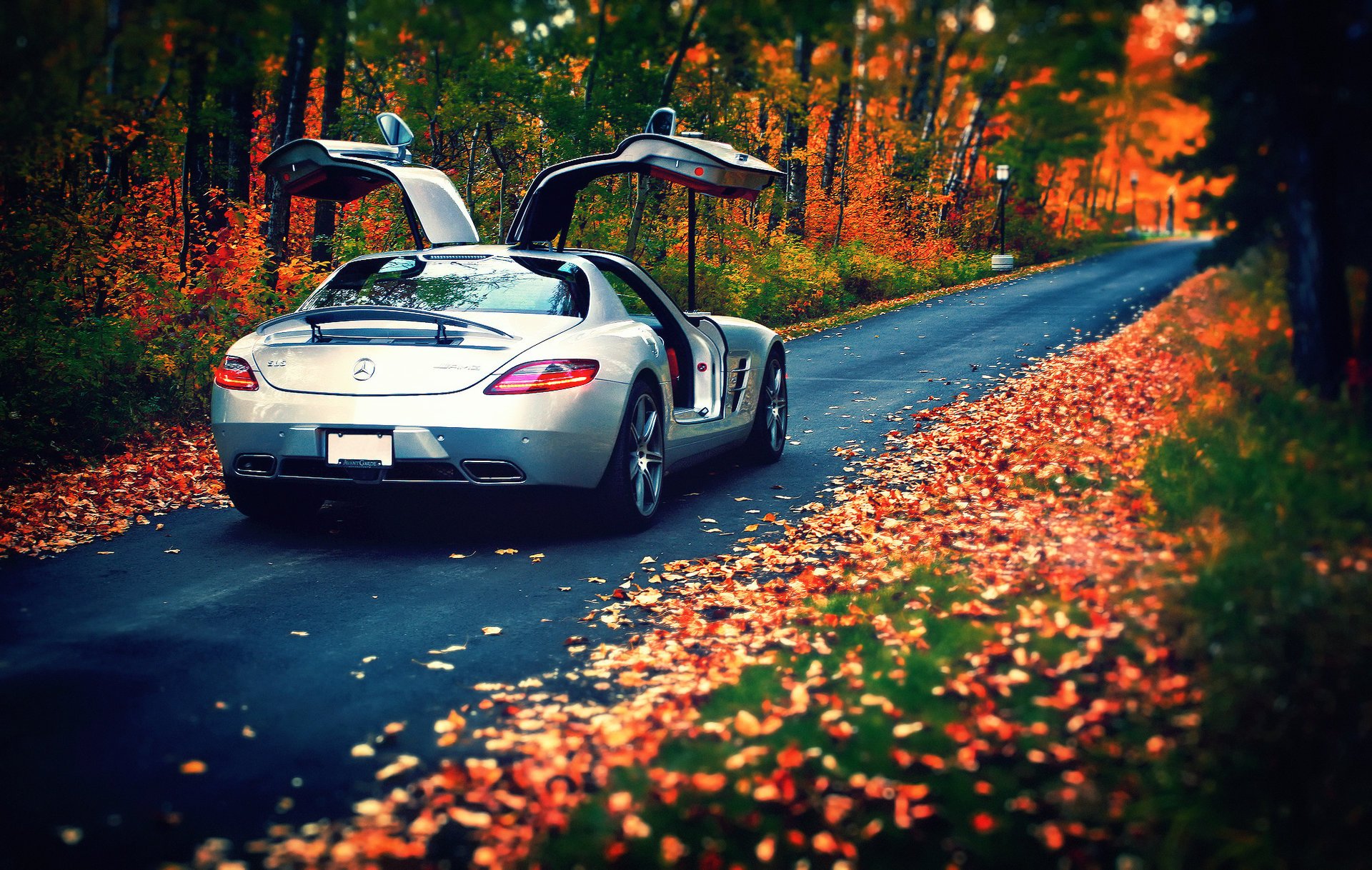 mercedes-benz hojas rear silvery amg otoño 63 sl