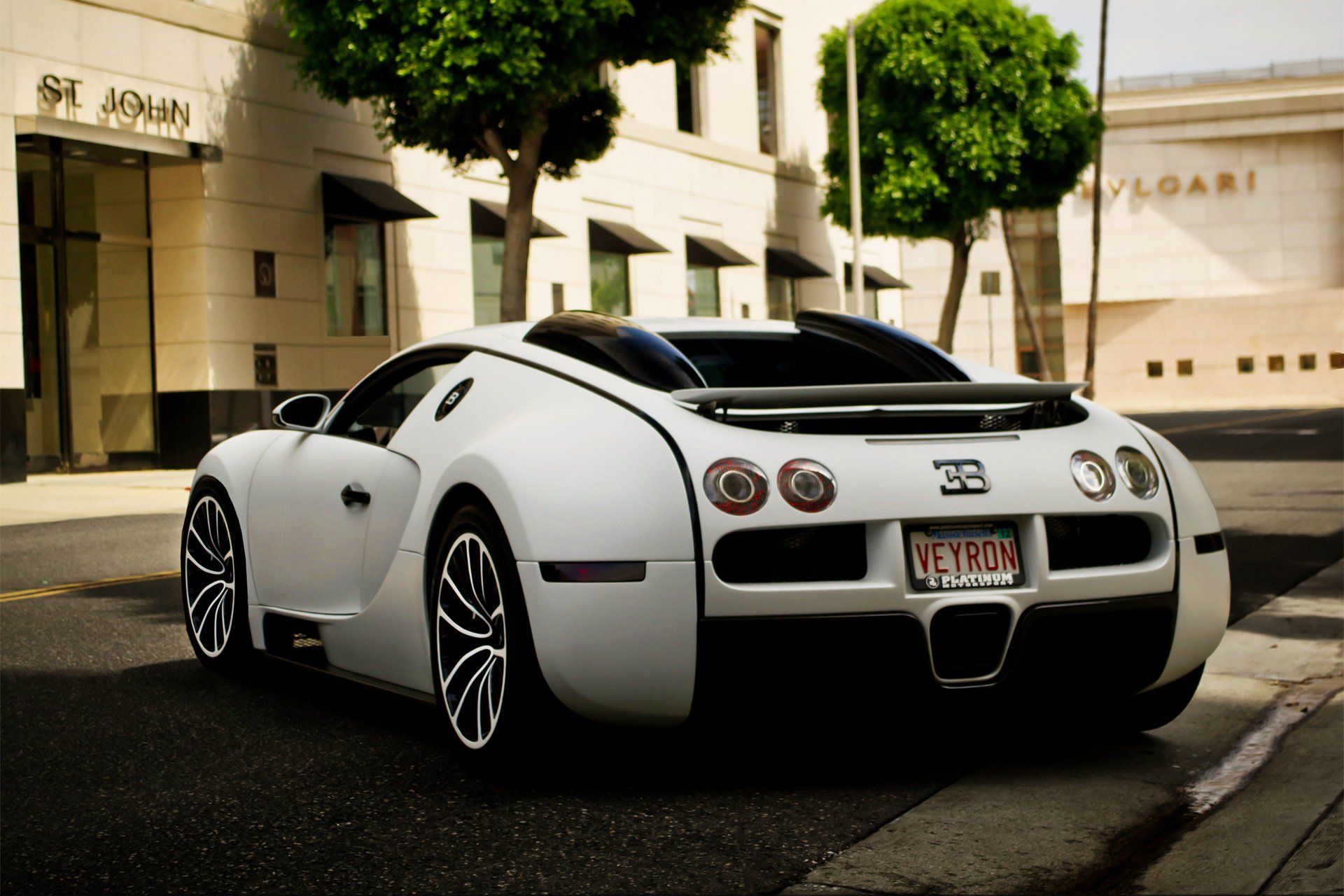 bugatti auto machine street the city veyron tree