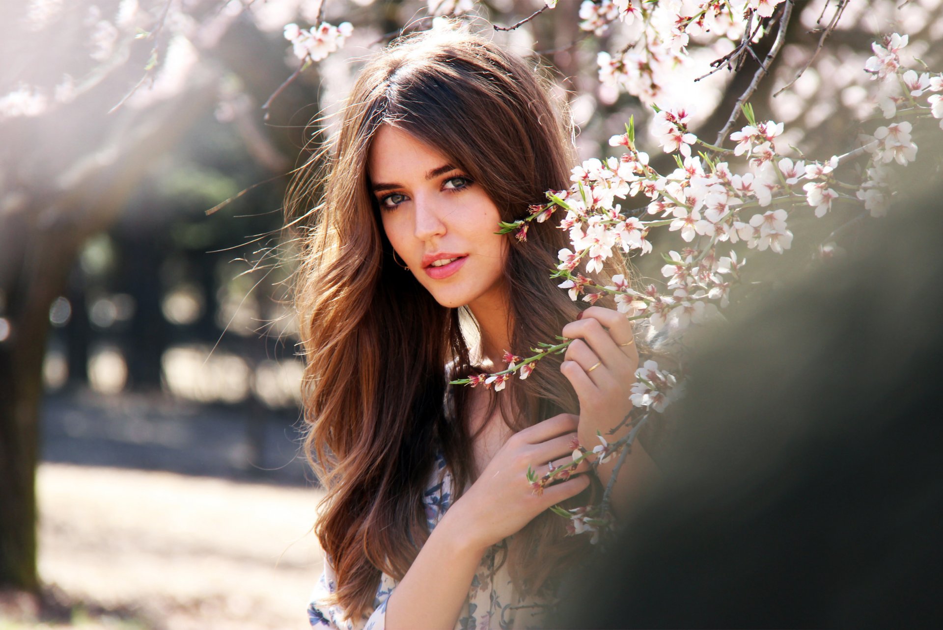 clara alonso modello ragazza carta da parati tenerezza sakura