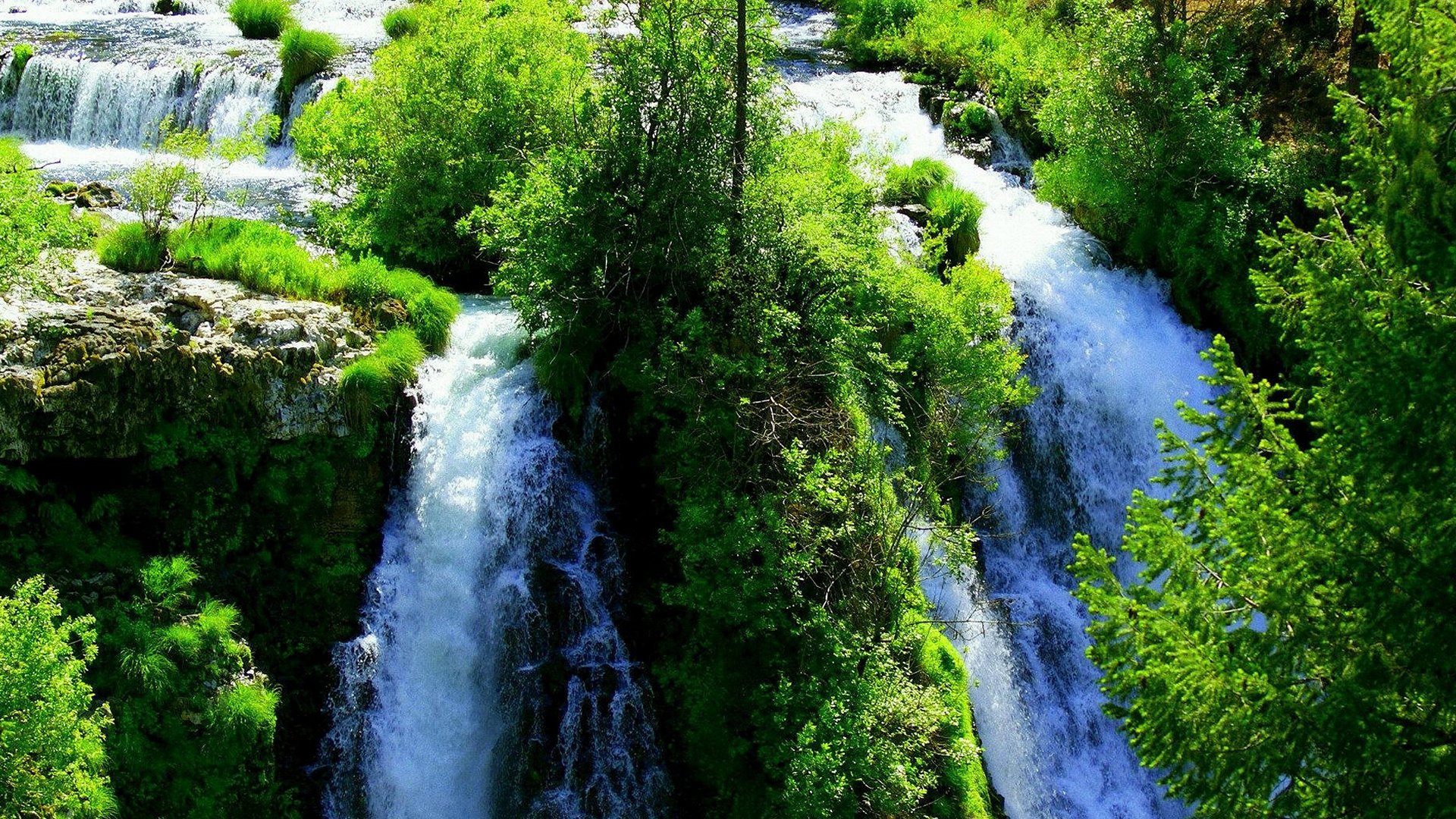 natura cascata foresta