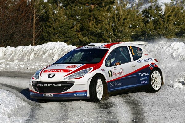 Peugeot car for racing