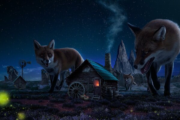 Красные большие лисицы в деревне