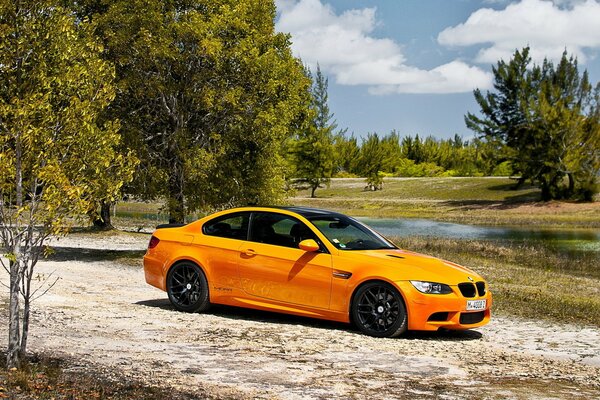 Coche amarillo contra el bosque verde