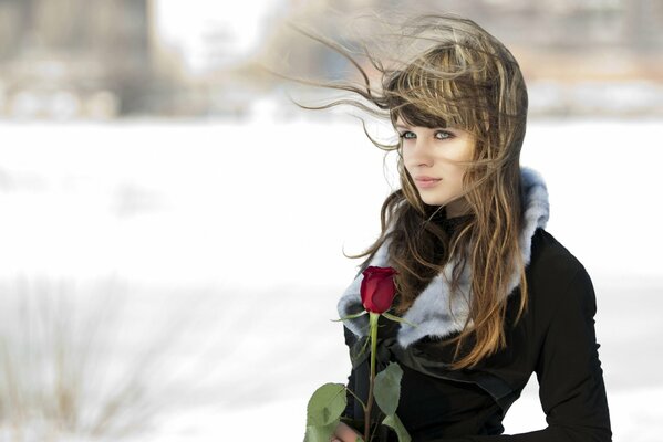 Against the background of a winter morning, a girl with a rose