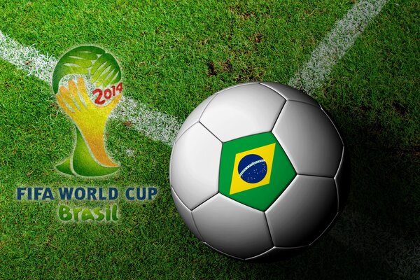 Puchar Świata Piłka Brazylii