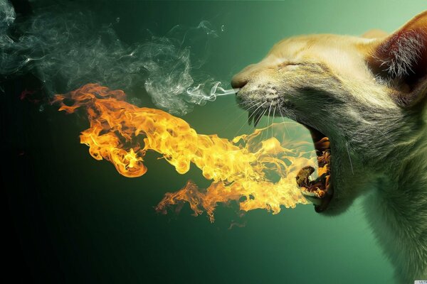 Flame and smoke instead of cat meowing