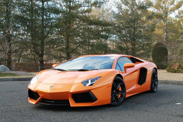 An orange Lamborghini is waiting for its owner