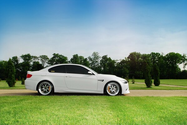 Bmw white in profile against a background of trees