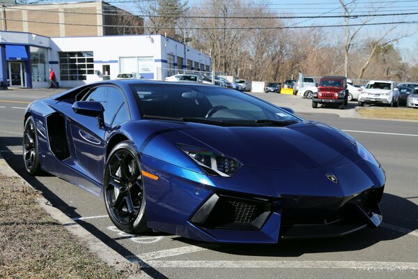 Blue Lamborghini Aventador in the parking lot