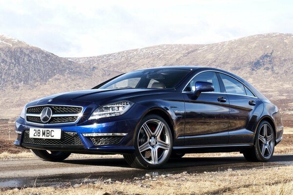 Mercedes Benz en una carretera desierta