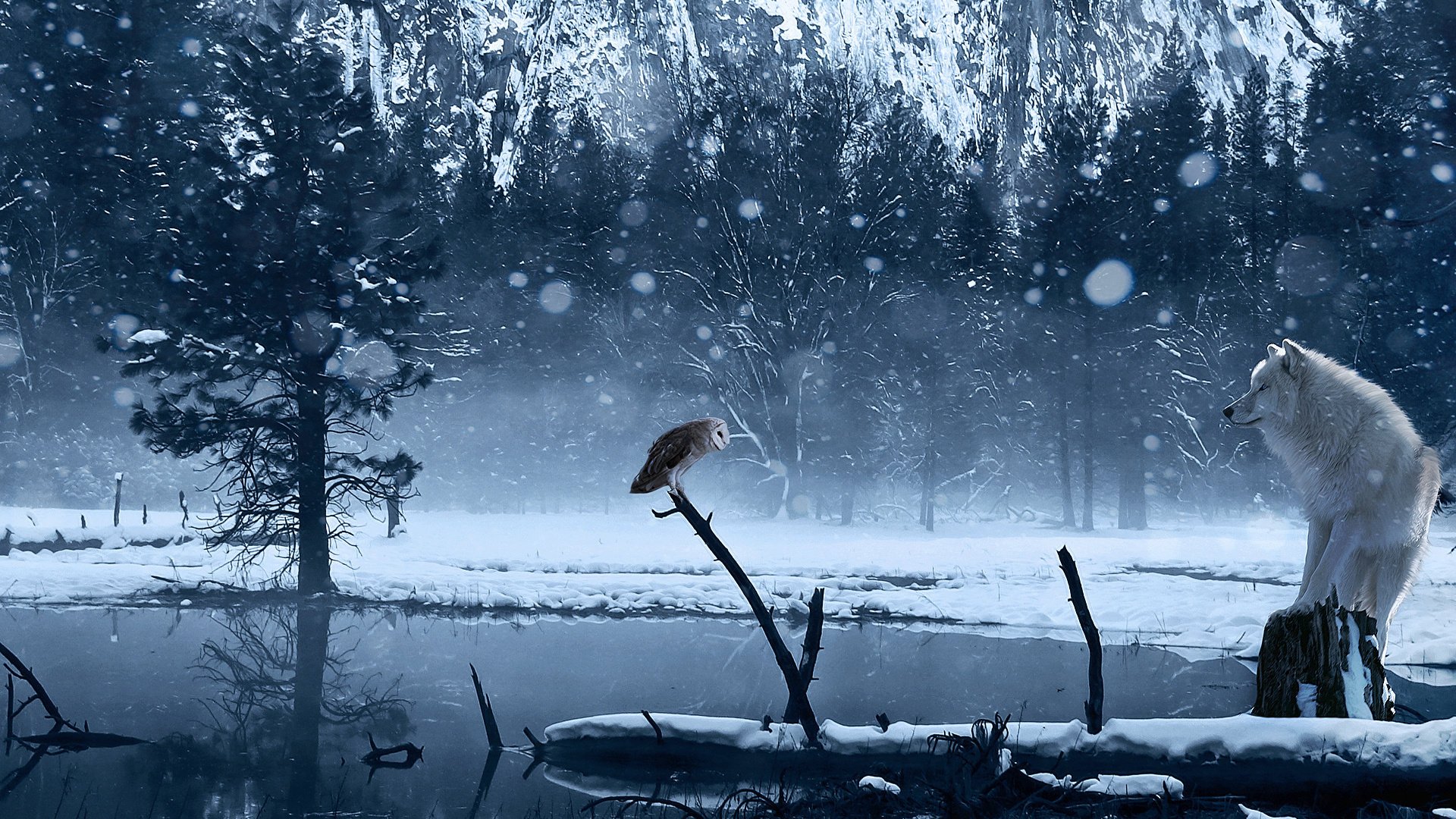 owl wolf winter snow lake art