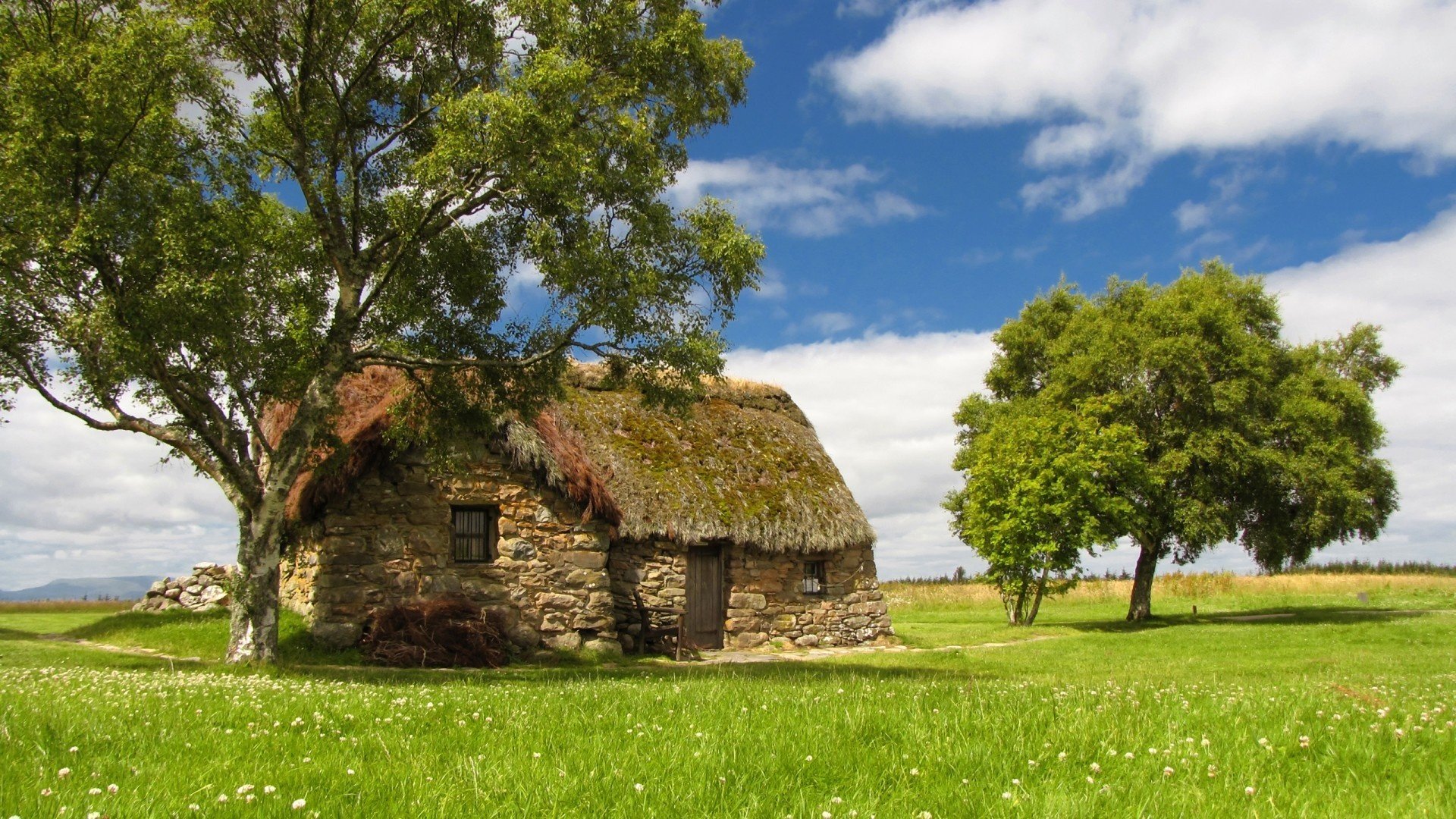 hutte maison prairie été