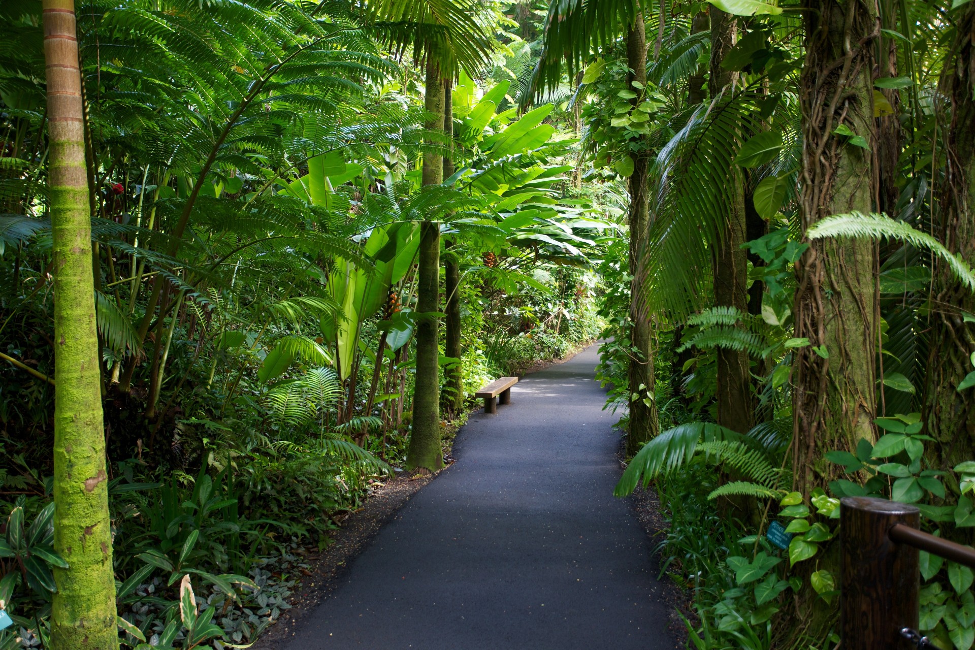 hawaii jardin nature