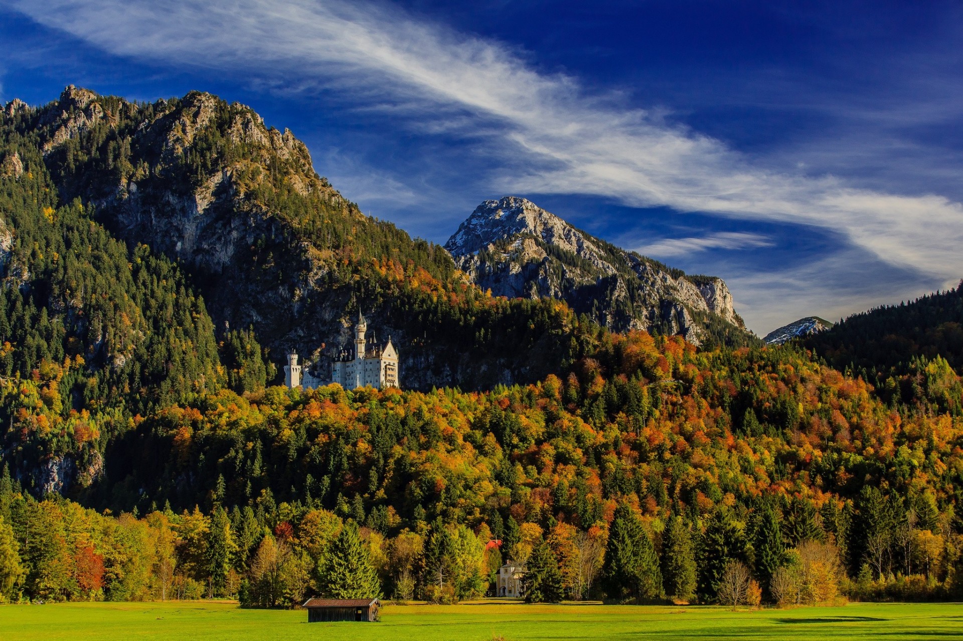 paesaggio foresta baviera germania autunno ristrutturazione castello di neuschwanstein montagne