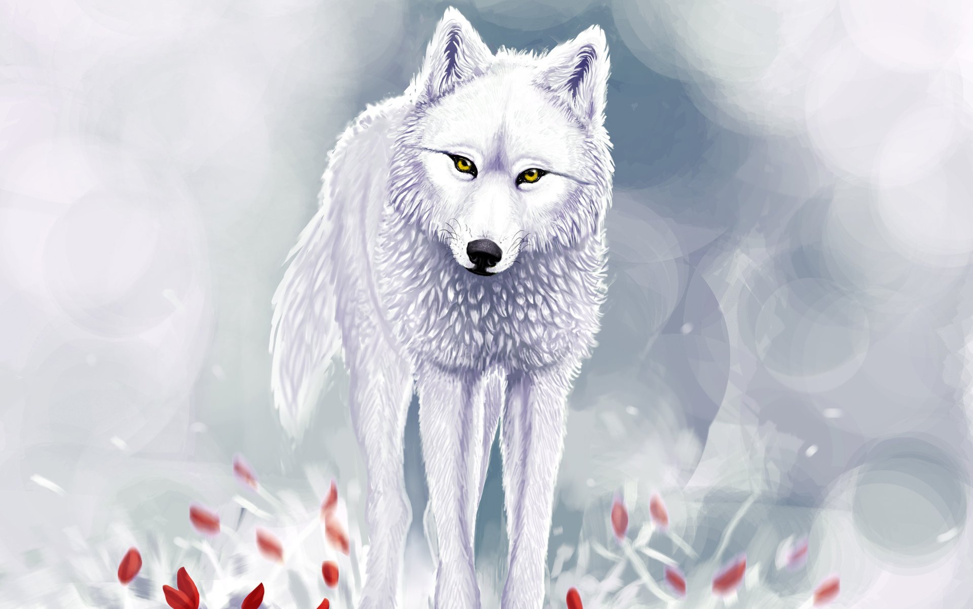 loup blanc neige hiver fleurs rouges