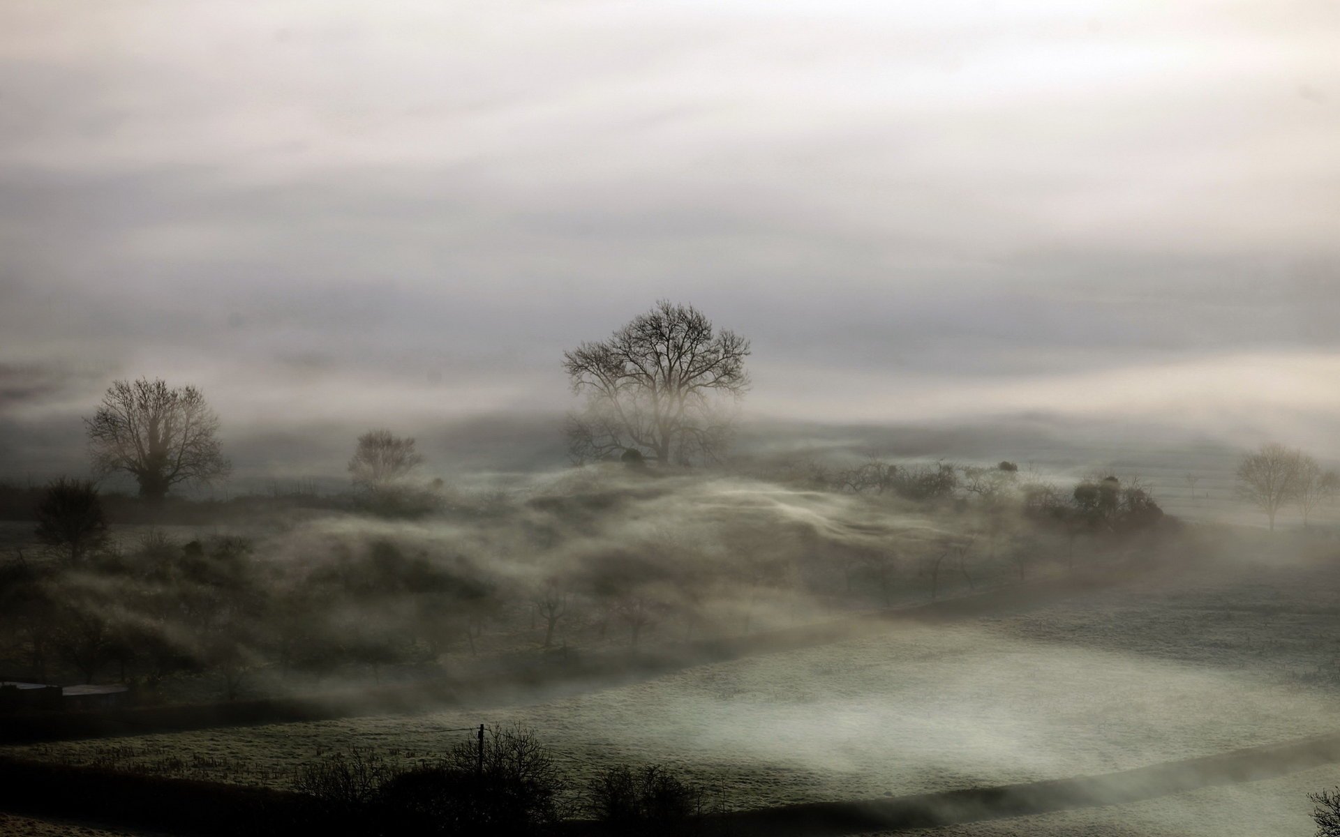 campo noche niebla paisaje