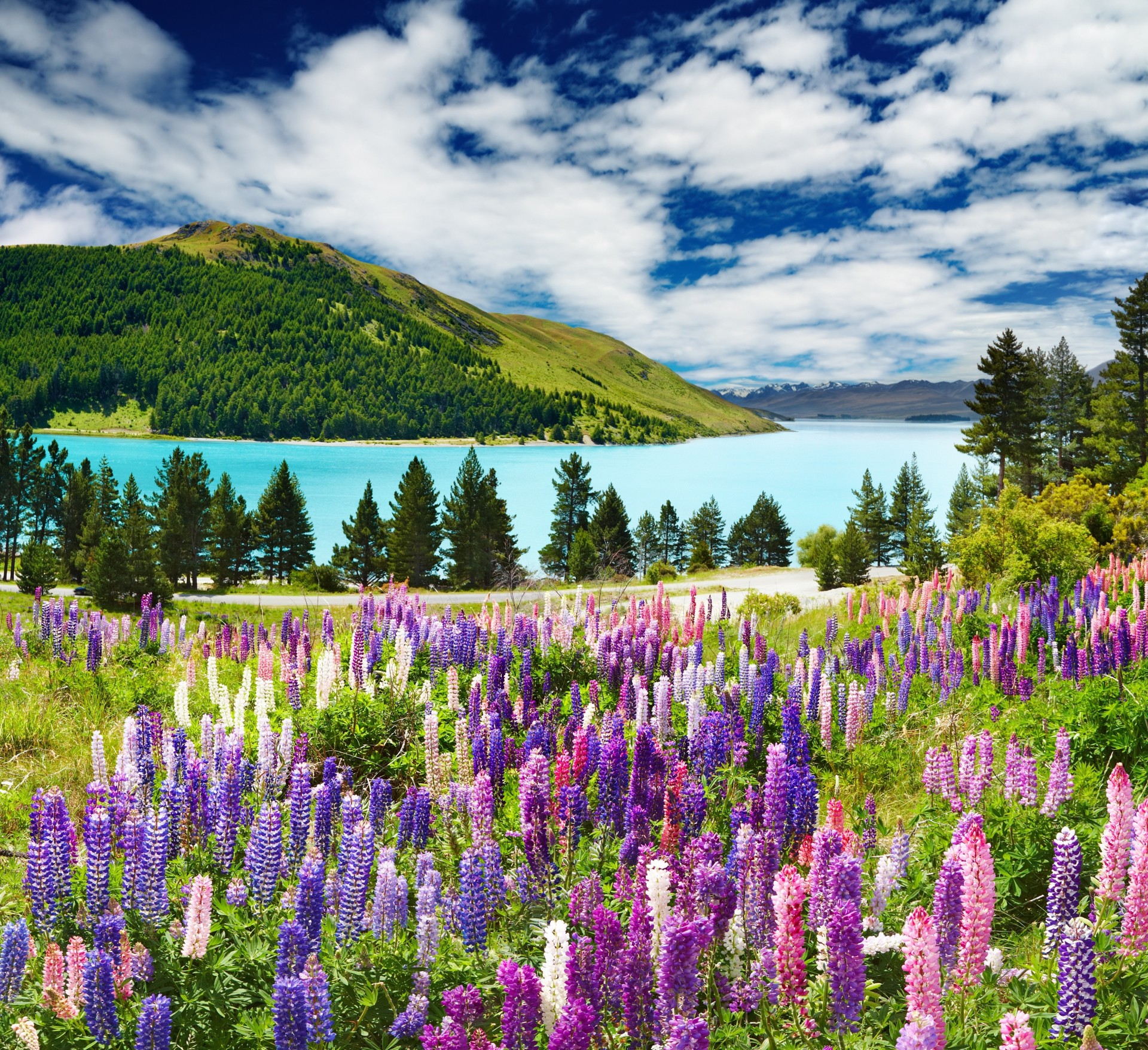 lavanda nuvole montagne lago cielo lilla blu