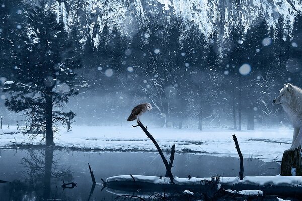 Lobo en el lago en el bosque de invierno