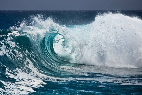 All the power and beauty in the ocean wave