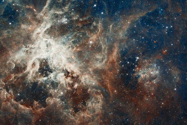 Nebulosa stellare della costellazione del pesce d oro