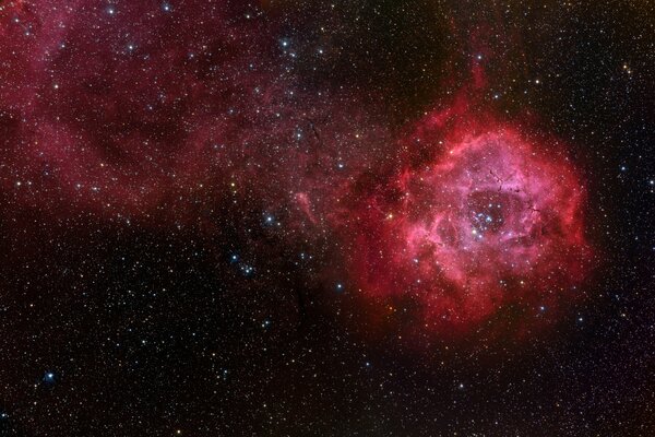 Image of the rosette star nebula