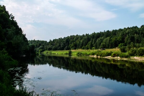 Río en las montañas. Naturaleza. Paisaje