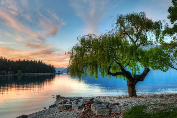 Lac et forêt au coucher du soleil en été