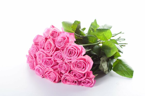 Pink roses. Bouquet of flowers