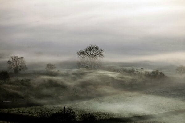 Thick fog in the field at night