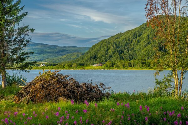 Blue lake landscape mountains and greenery