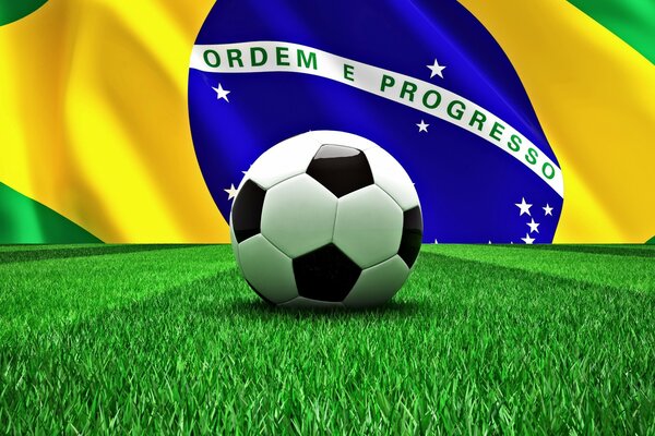 Официальный флаг Кубка мира по футболу 2014 года
