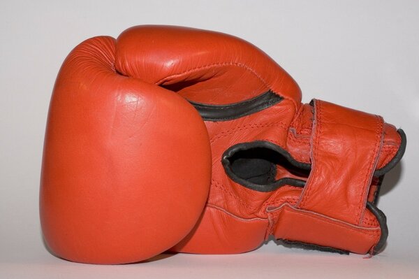 Le sport, c est la vie. Boxe-lutte