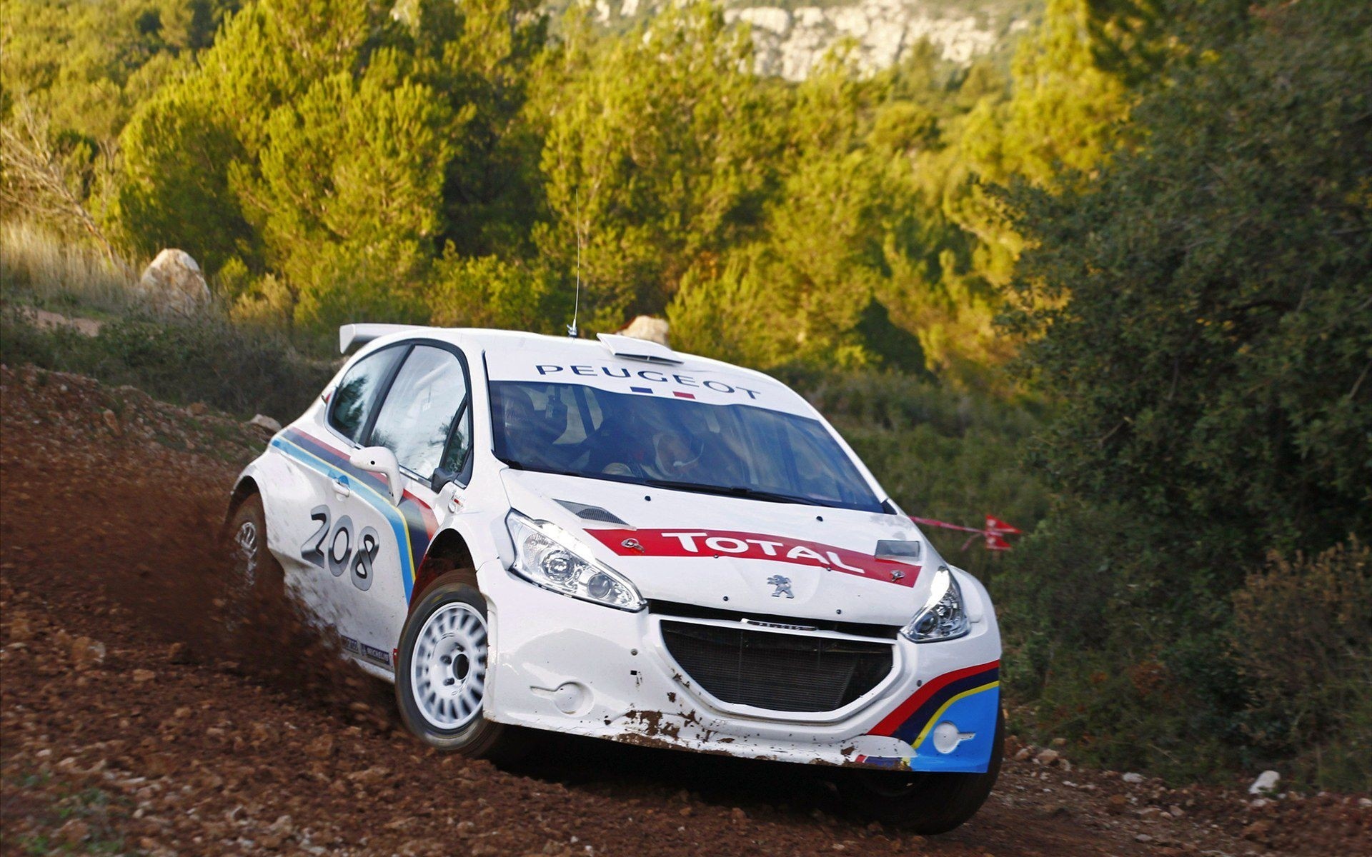 rally peugeot race