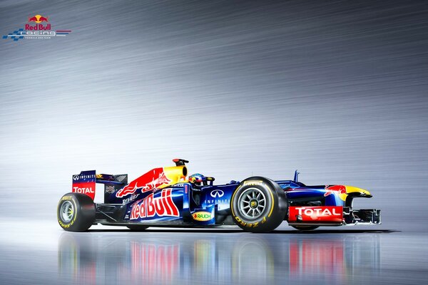 Sebastian Vettel sports car