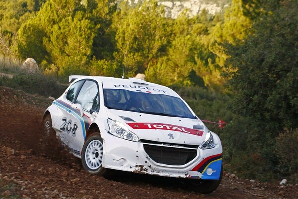 A car with a red stripe on the background of a forest