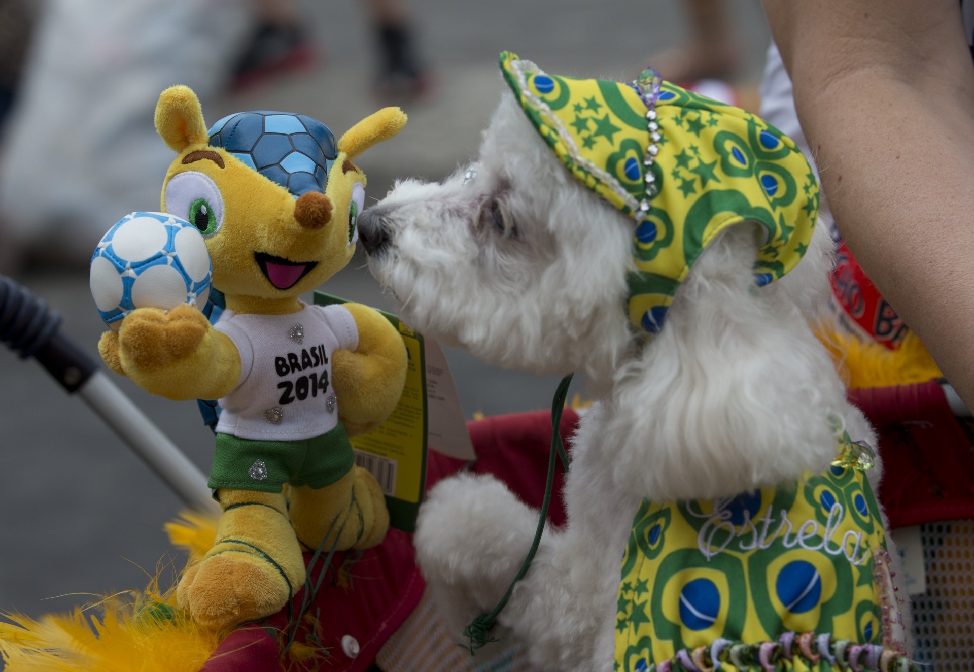 campeonato mundial 2014 mascota fútbol brasil