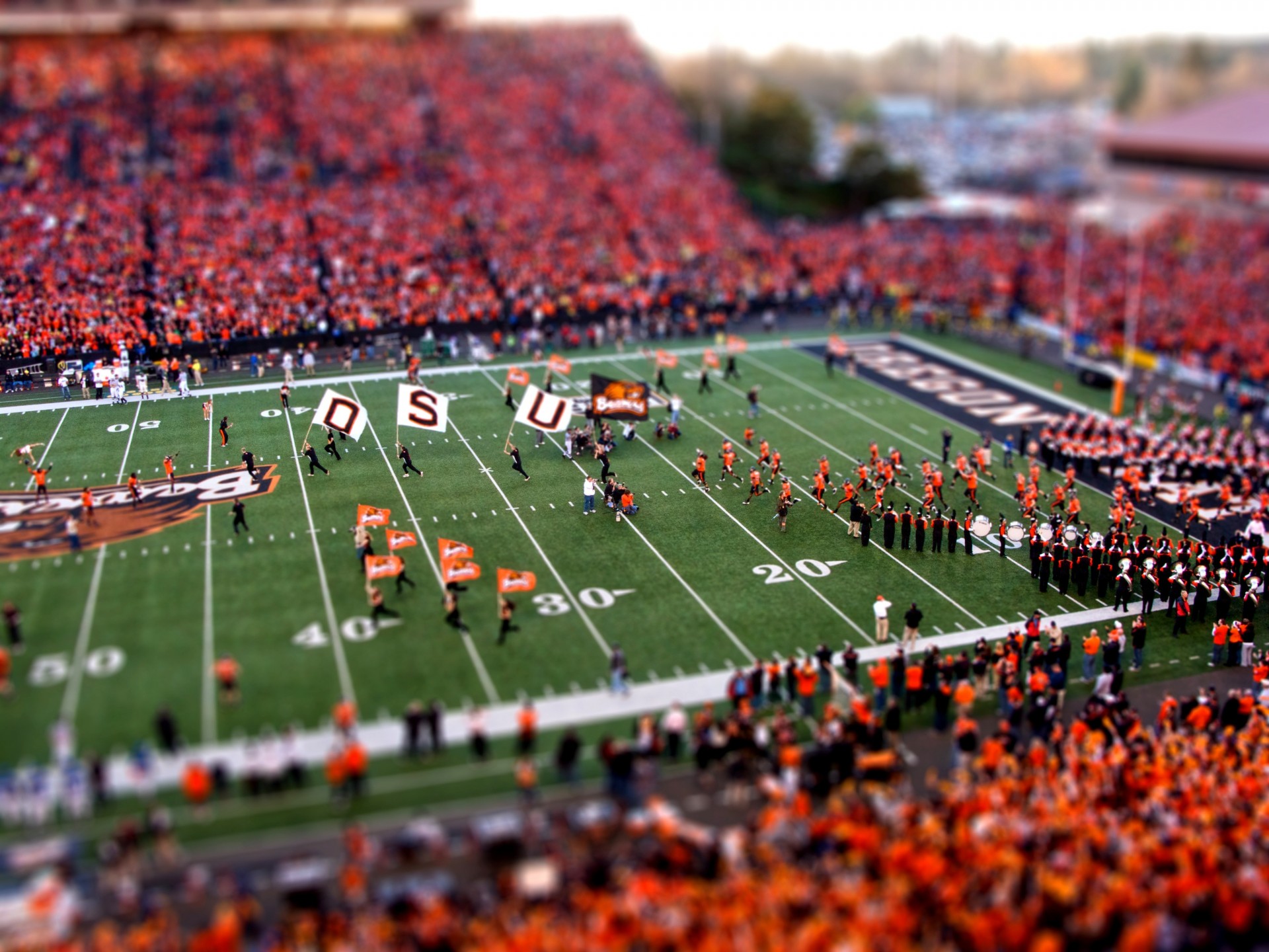 orange tilt-shift flowers football people