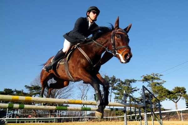 Reitsport über Hindernisse