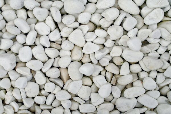 White pebbles. White stones
