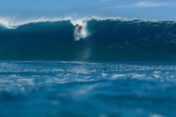 Surfeur chevauchant une vague de mer