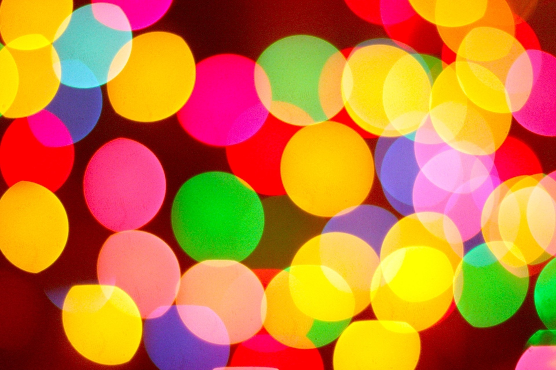 luce kevin bokeh natale