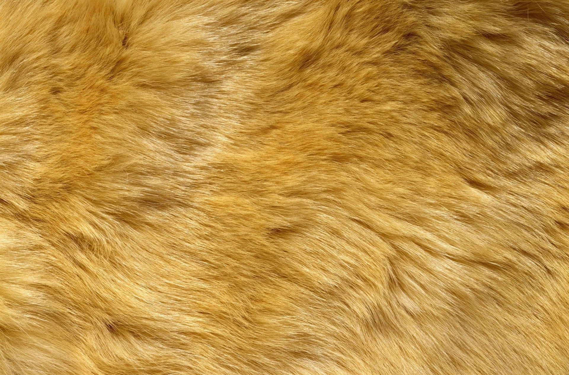 fur textures desktop background