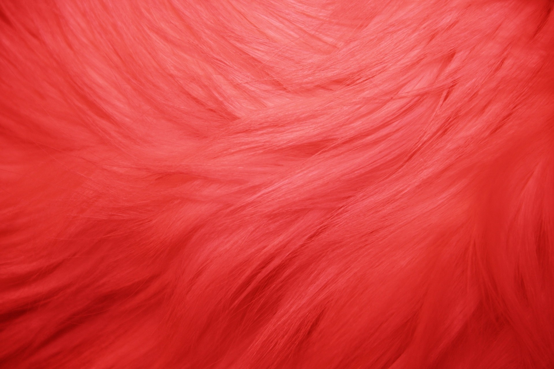 fur textures red