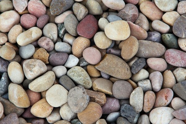 Guijarros multicolores. Variedad de piedras